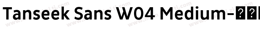 Tanseek Sans W04 Medium字体转换